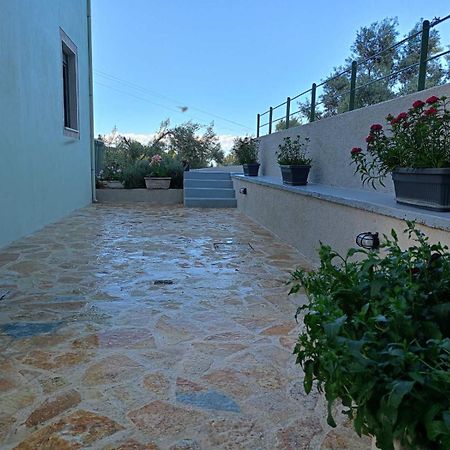 Armonia Villa Lefkada Kariótai Buitenkant foto